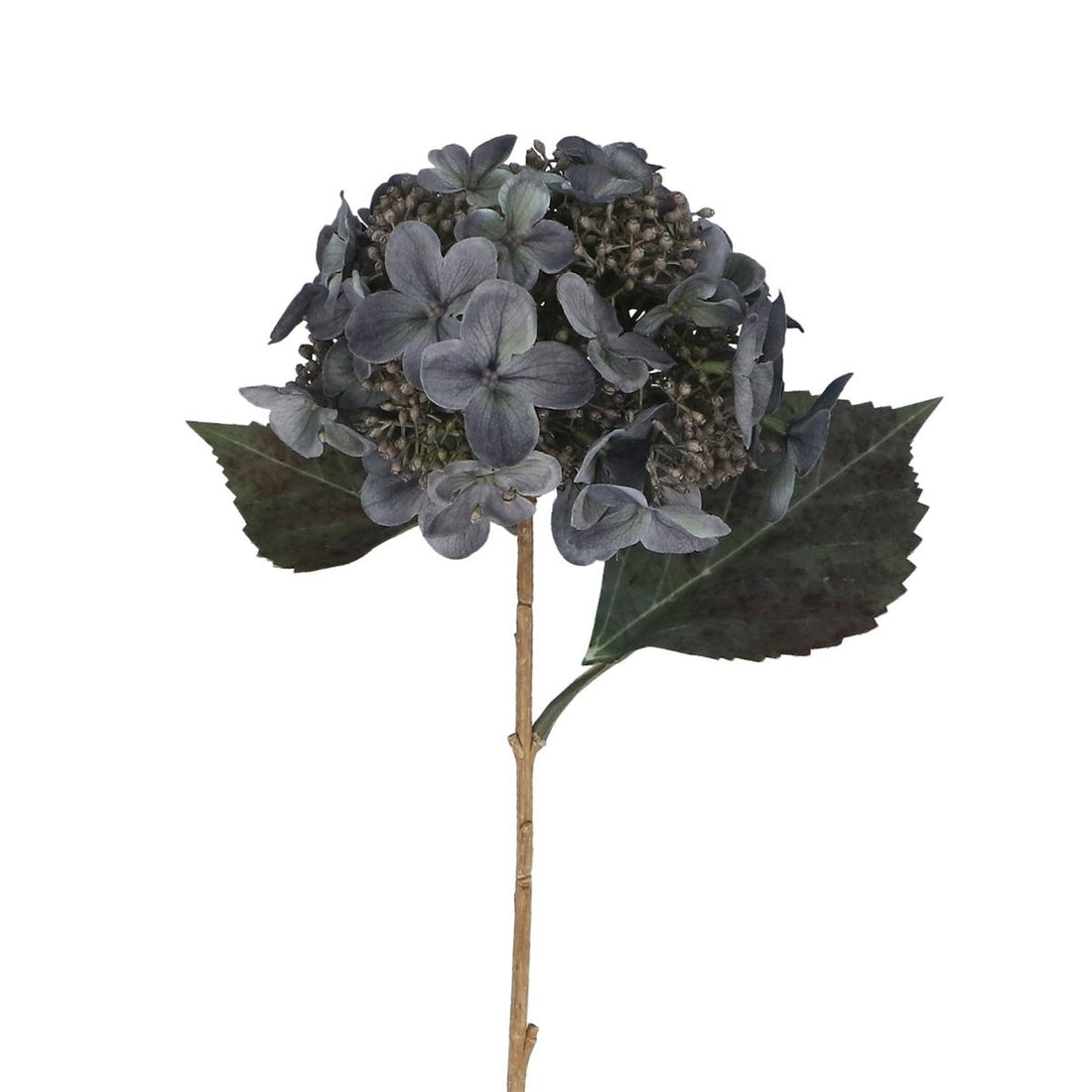 Flower 52cm – Blue Lacecap Hydrangea - RUTHERFORD & Co