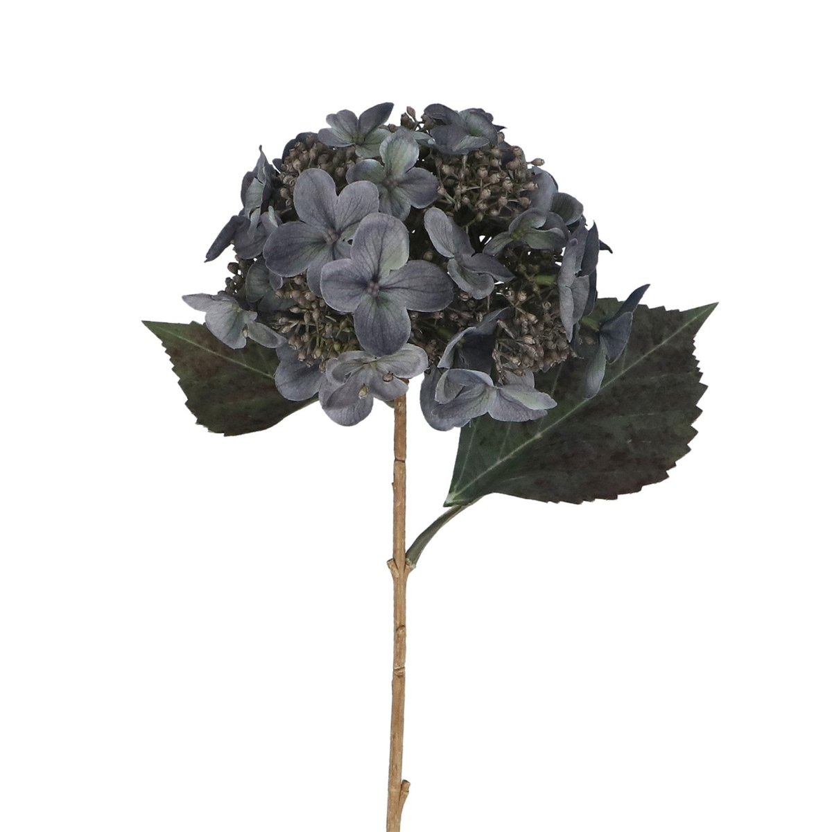 Flower 52cm – Blue Lacecap Hydrangea - RUTHERFORD & Co