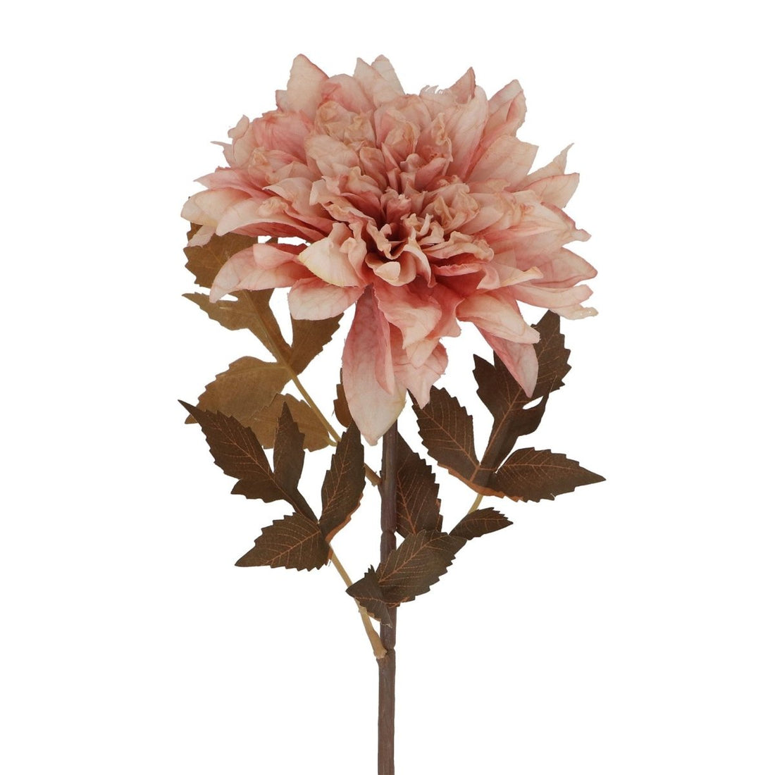 Flower 56cm - Antique Pink Dahlia - RUTHERFORD & Co