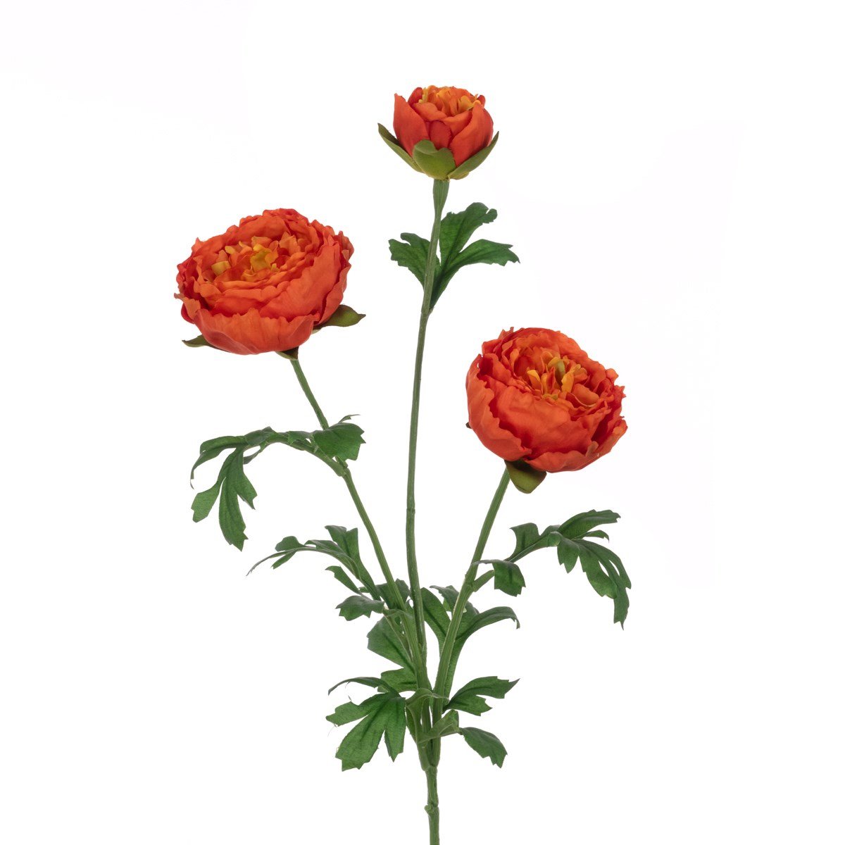 Fluffy Ranunculus Spray/Orange - RUTHERFORD & Co