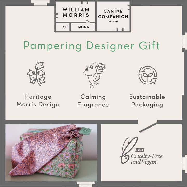 Forest Bathing Hair Scent & Style Set - RUTHERFORD & Co