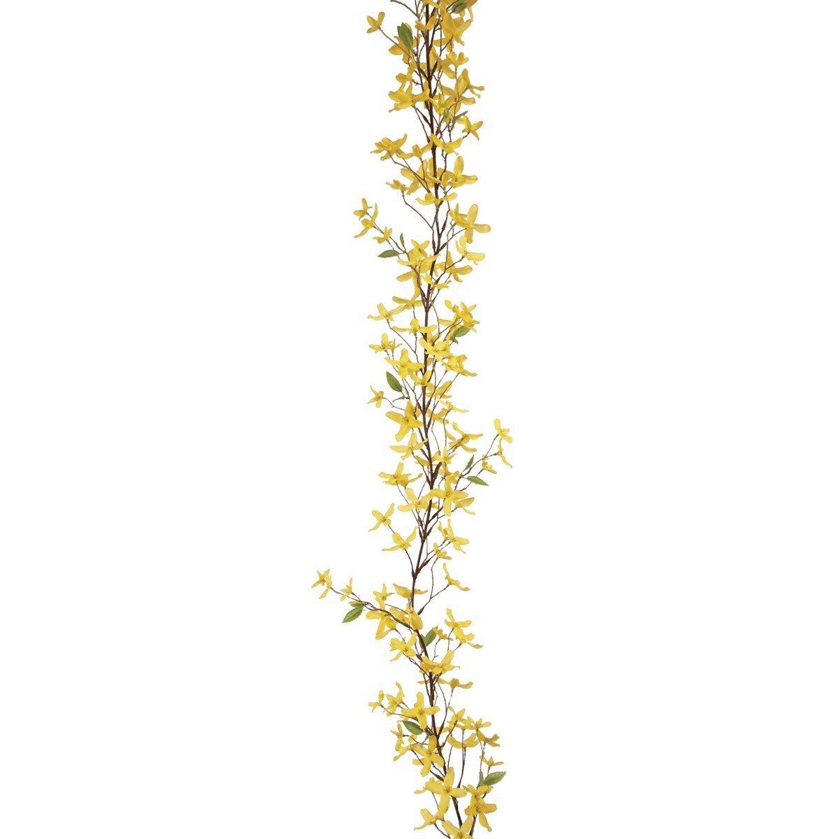 Forsythia Garland 182cm/Yellow - RUTHERFORD & Co