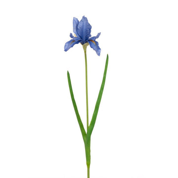 Fresh Touch PU Iris 60cm/Blue - RUTHERFORD & Co