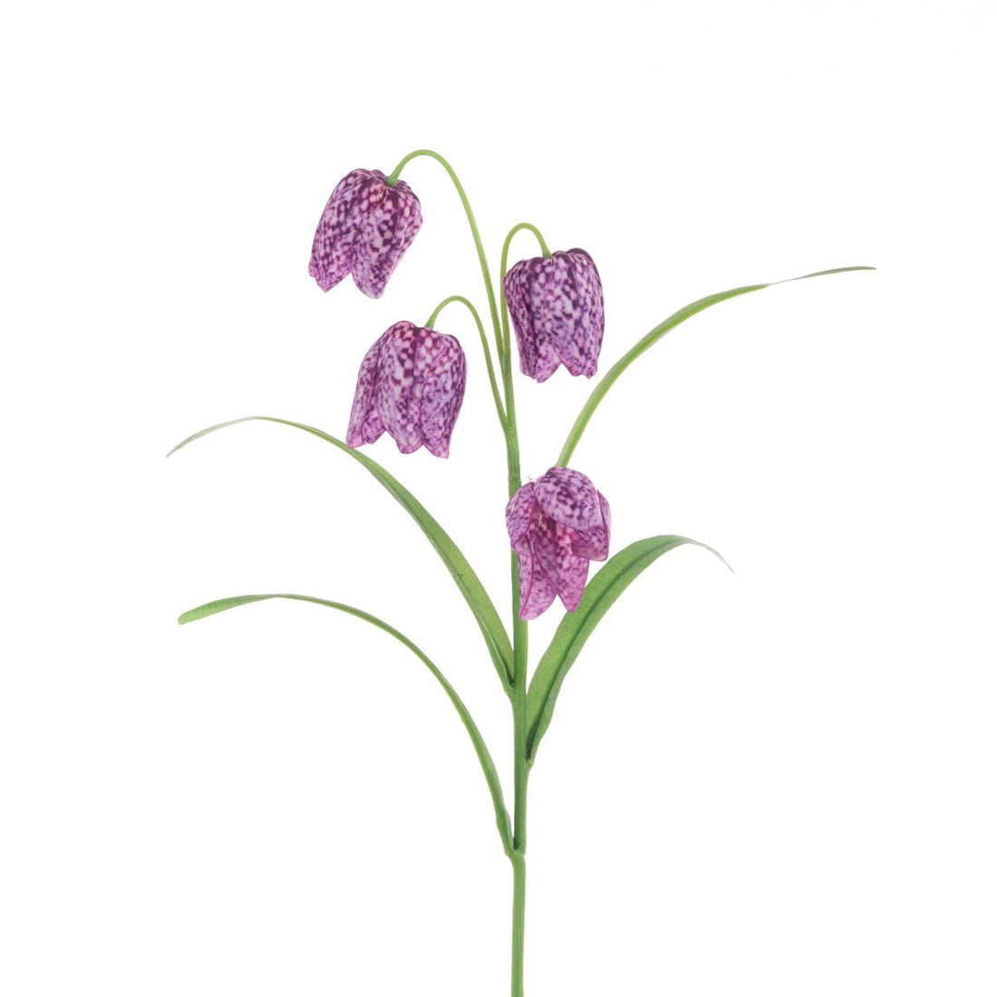 Fritillaria Spray 57cm/Purple - RUTHERFORD & Co