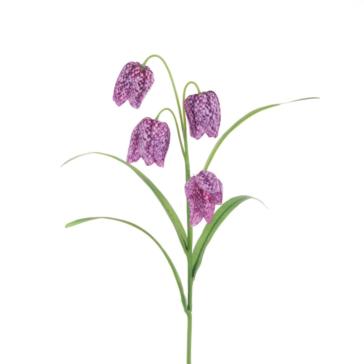 Fritillaria Spray 57cm/Purple - RUTHERFORD & Co