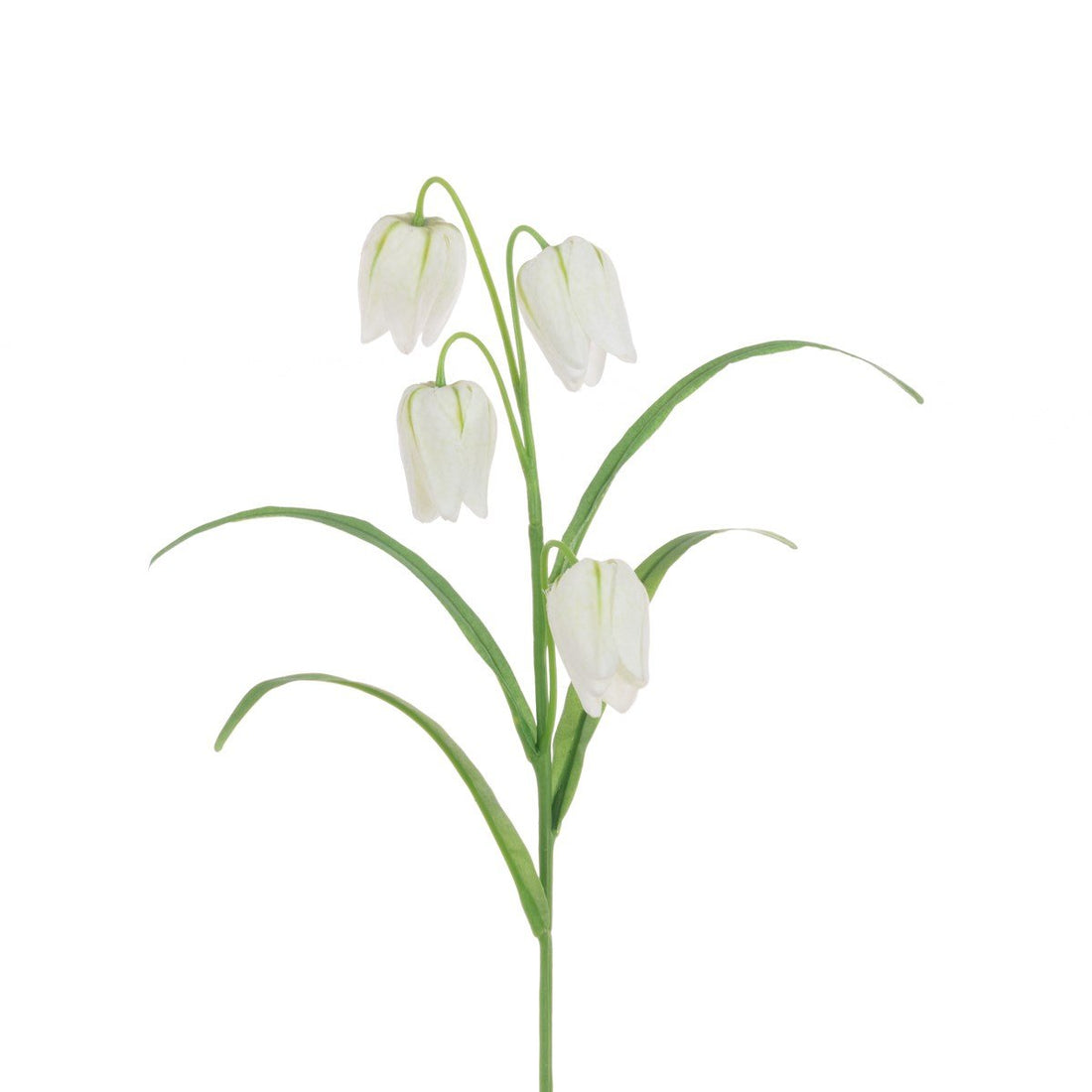 Fritillaria Spray 57cm/White - RUTHERFORD & Co