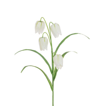 Fritillaria Spray 57cm/White - RUTHERFORD & Co
