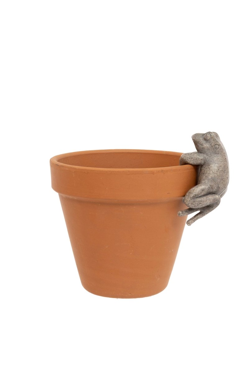 Frog Pot Hanger Grey - RUTHERFORD & Co