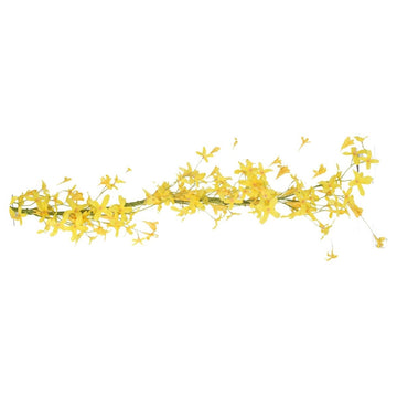 Garland 180cm - Yellow Forsythia - RUTHERFORD & Co
