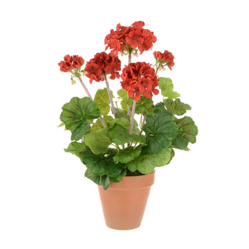 Geranium in Terracotta Pot/Red - RUTHERFORD & Co