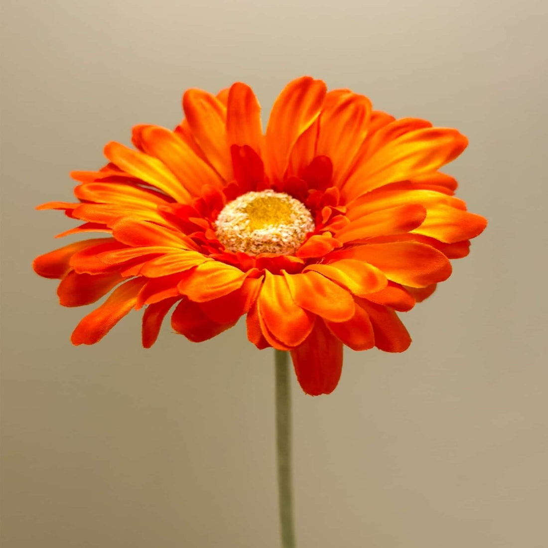 Gerbera Orange 52cm - RUTHERFORD & Co