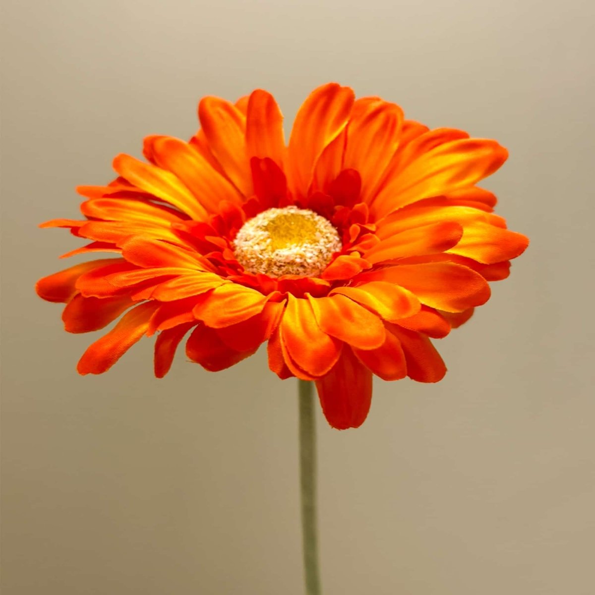 Gerbera Orange 52cm - RUTHERFORD & Co