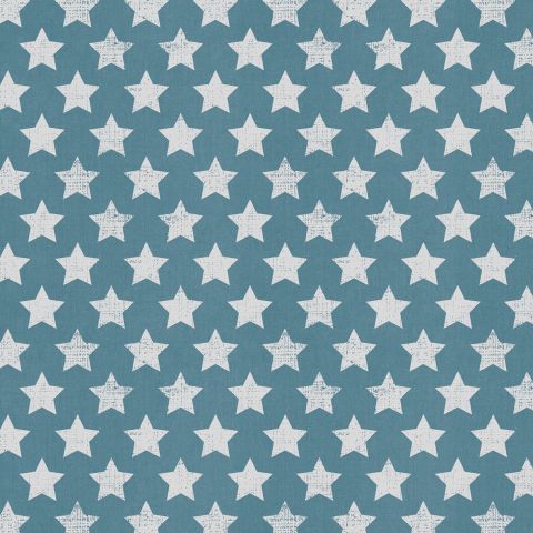 Gift Wrap Canvas Stars - RUTHERFORD & Co