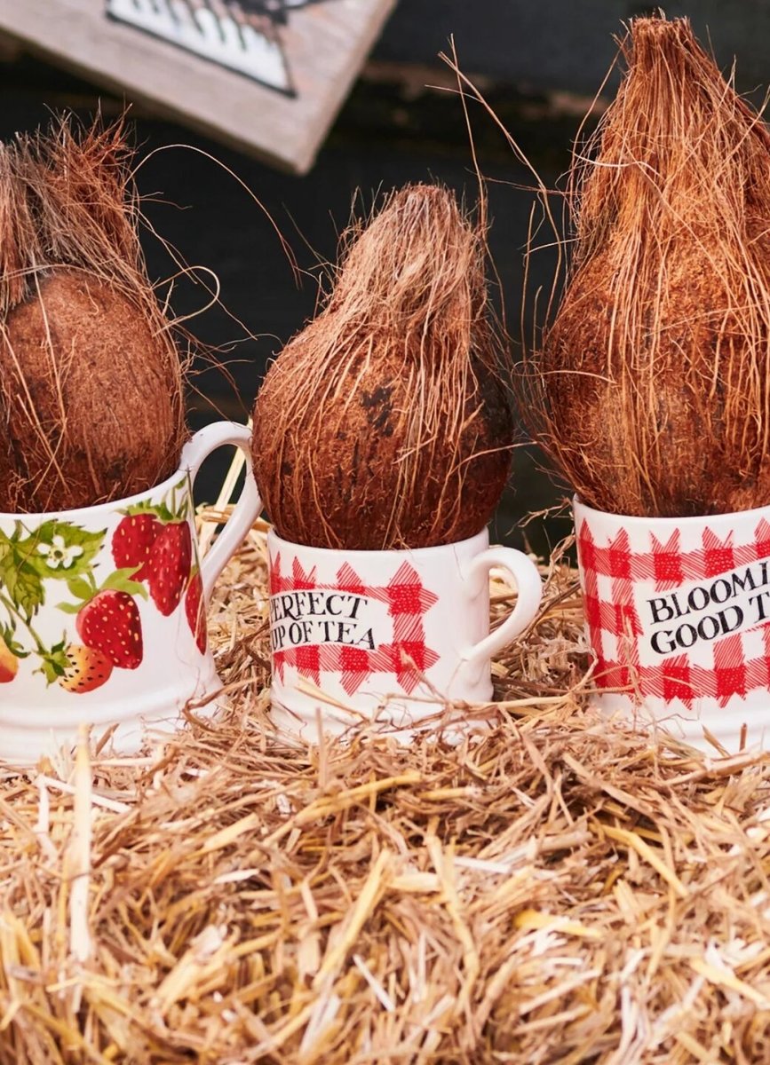 Gingham Small Mug - RUTHERFORD & Co