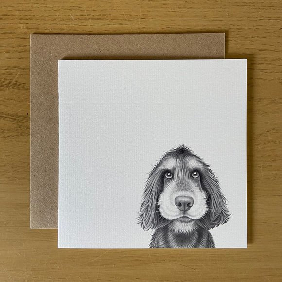 Greeting Card - Sonny Spaniel - RUTHERFORD & Co