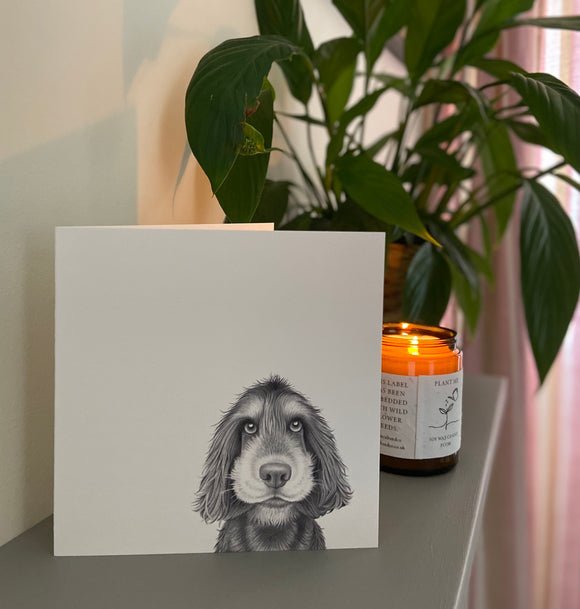 Greeting Card - Sonny Spaniel - RUTHERFORD & Co