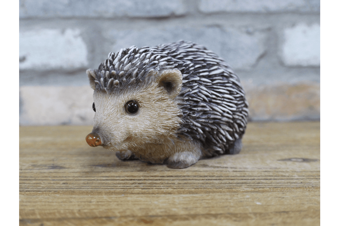Hedgehog - RUTHERFORD & Co