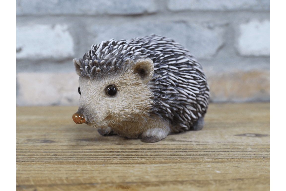 Hedgehog - RUTHERFORD & Co