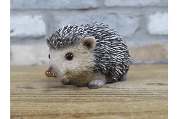 Hedgehog - RUTHERFORD & Co