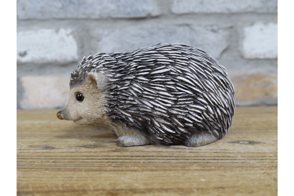 Hedgehog - RUTHERFORD & Co