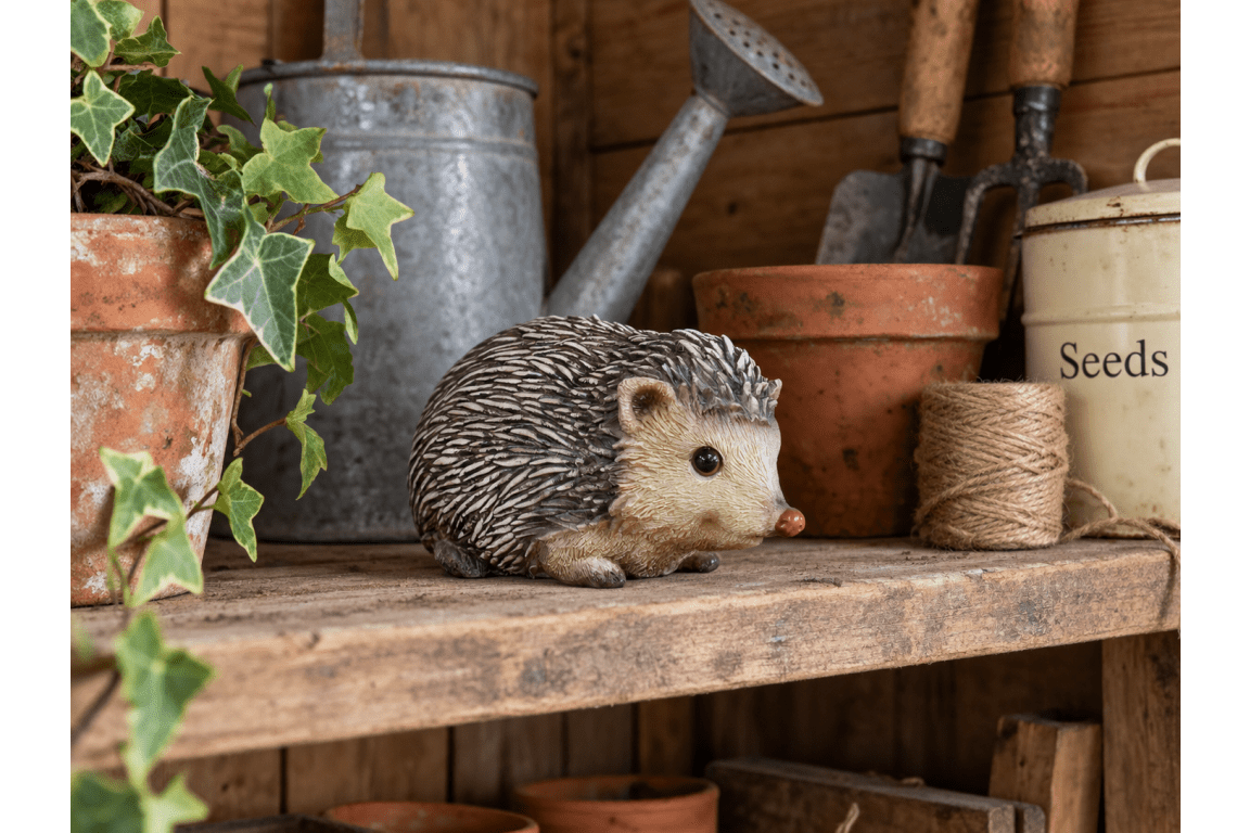 Hedgehog - RUTHERFORD & Co