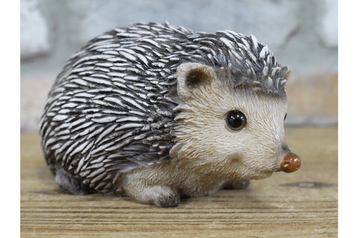 Hedgehog - RUTHERFORD & Co