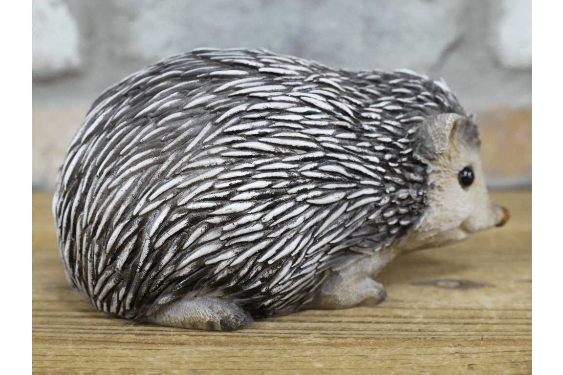 Hedgehog - RUTHERFORD & Co