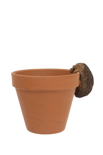 Hedgehog Pot Hanger - RUTHERFORD & Co