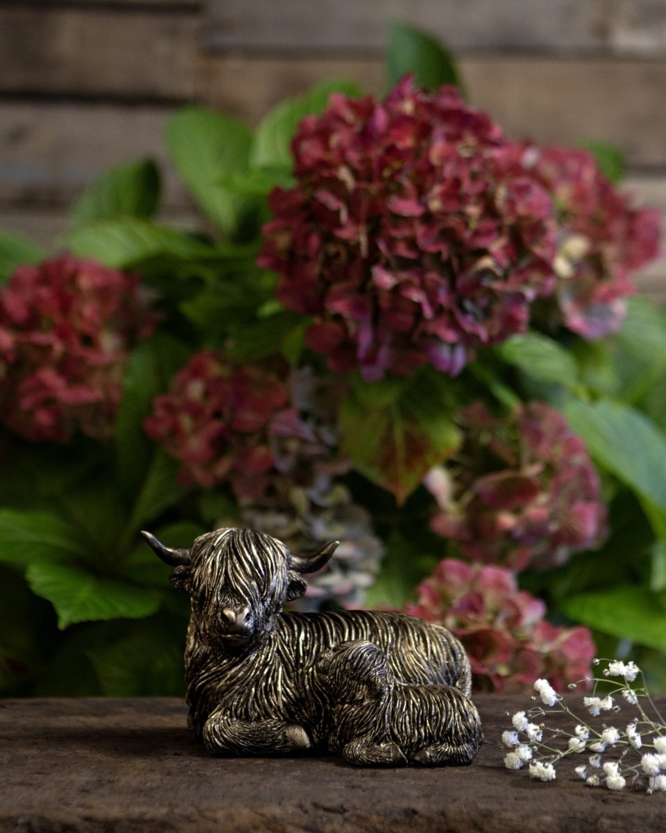 Highland Cow Family - RUTHERFORD & Co