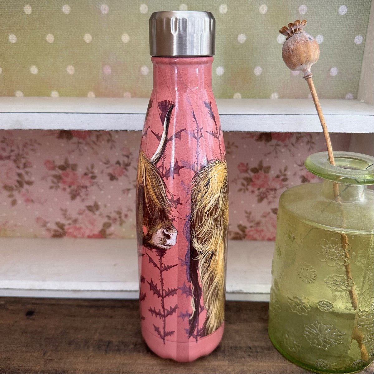 Highland Cow Water Bottle - RUTHERFORD & Co