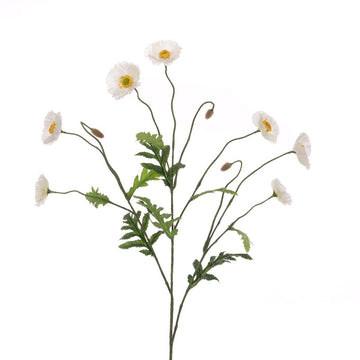 Icelandic Poppy Spray 78cm/White - RUTHERFORD & Co