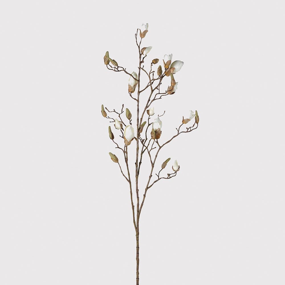 Ivory Magnolia Bud Spray with Leaves - RUTHERFORD & Co
