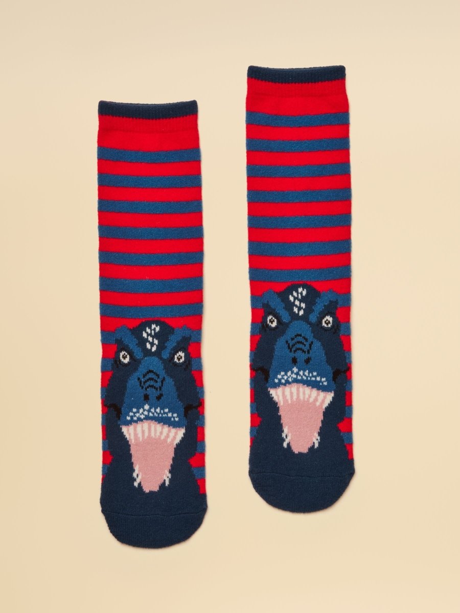 Kids' Cosy Blue Dino Socks - RUTHERFORD & Co