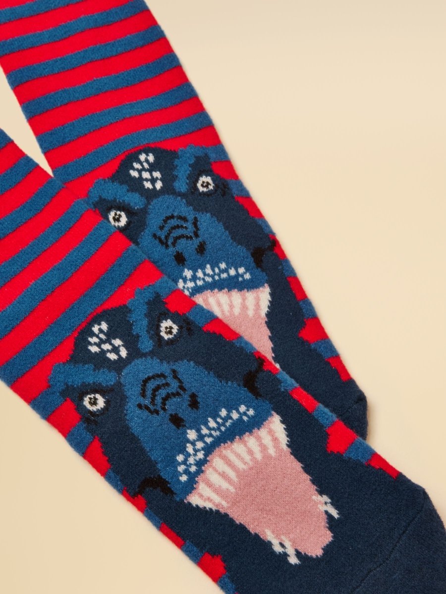 Kids' Cosy Blue Dino Socks - RUTHERFORD & Co