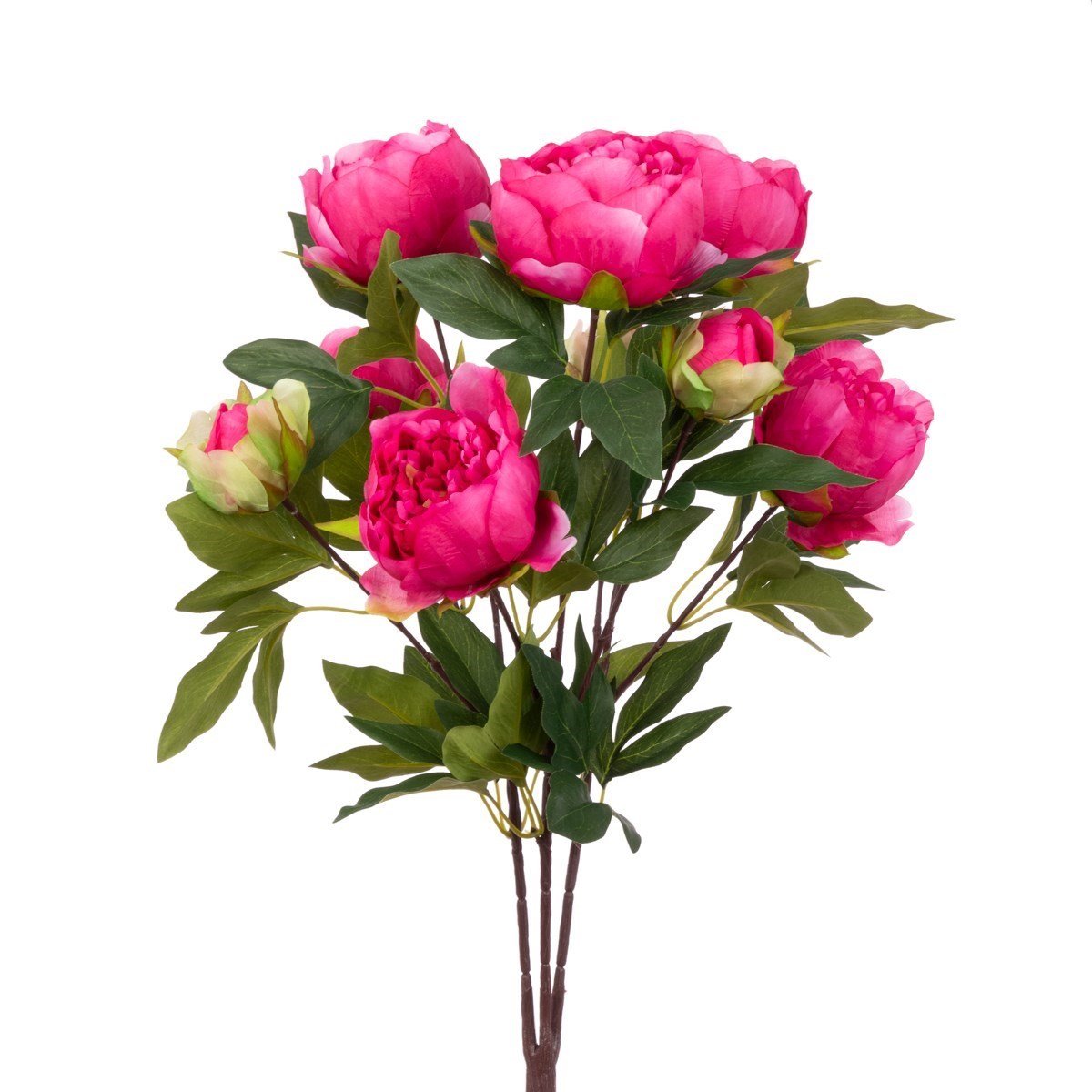 Large Peony Bush 58cm/Dark Pink - RUTHERFORD & Co