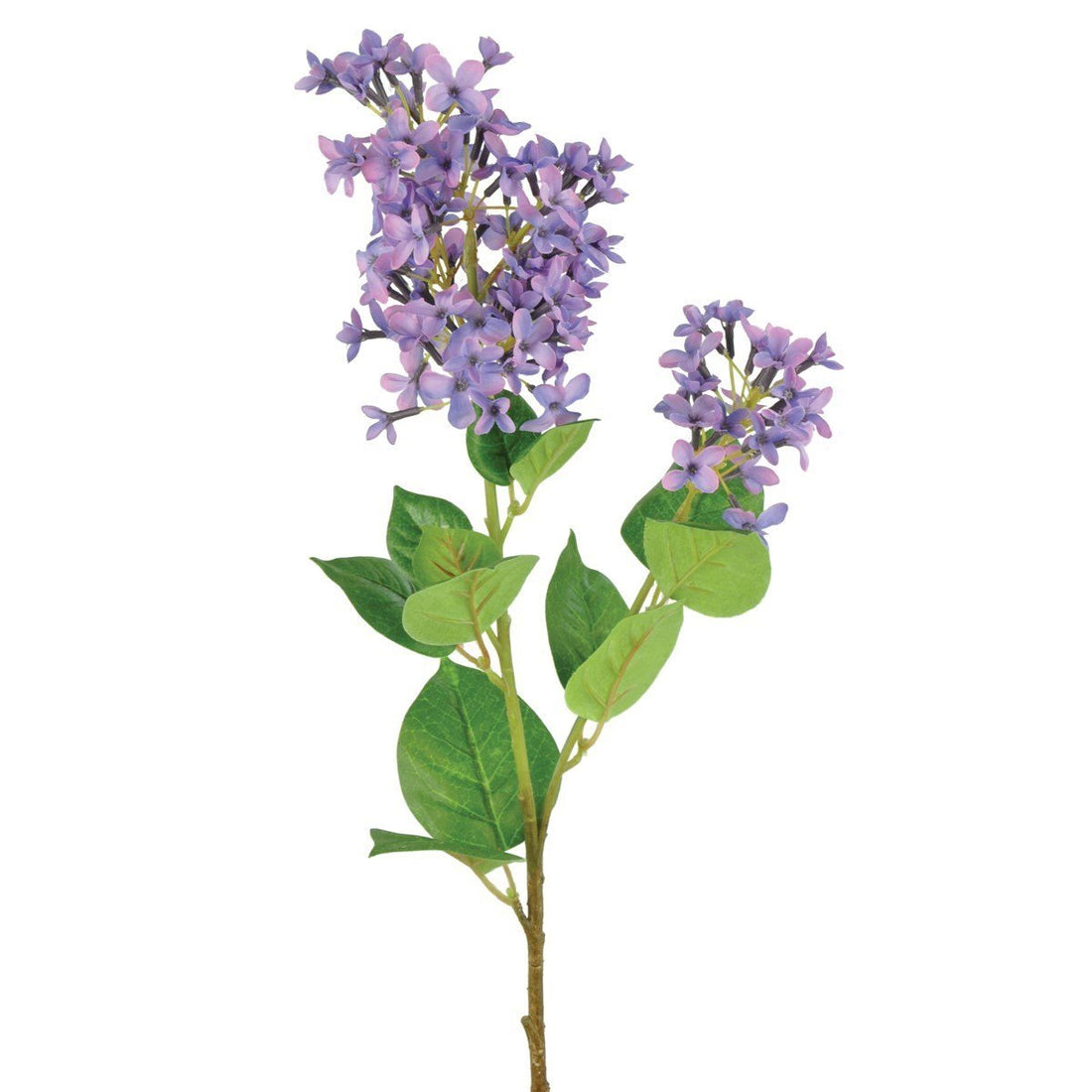 Lilac x 2 71cm/Purple - RUTHERFORD & Co