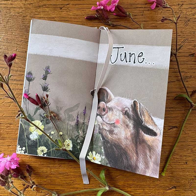 Little Things in Life Pocket Diary - RUTHERFORD & Co