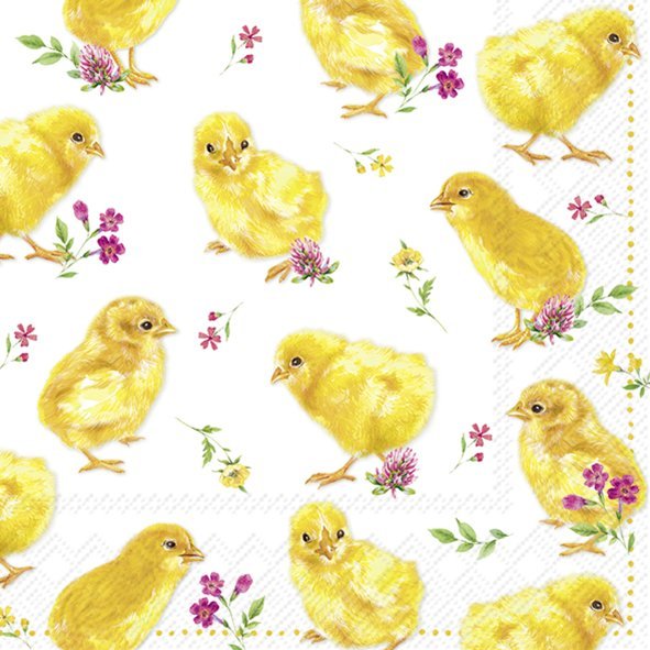 Lunch Napkins Chicks - RUTHERFORD & Co