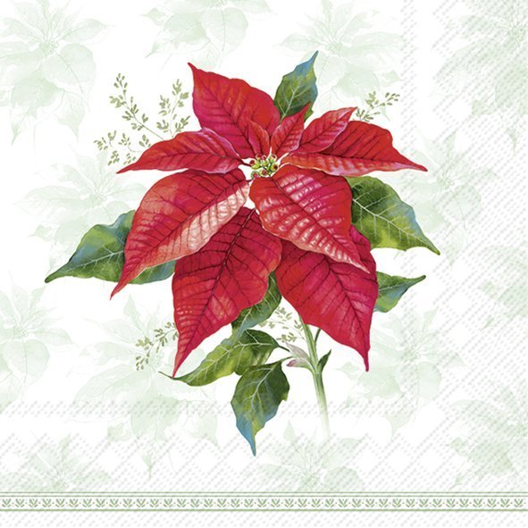 Lunch Napkins Classic Poinsettia Green - RUTHERFORD & Co
