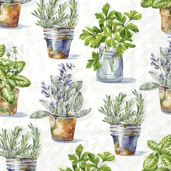 Lunch Napkins/Aromatic Herbs - RUTHERFORD & Co