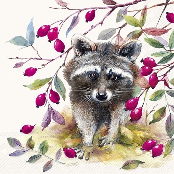 Lunch Napkins/Bandit - RUTHERFORD & Co