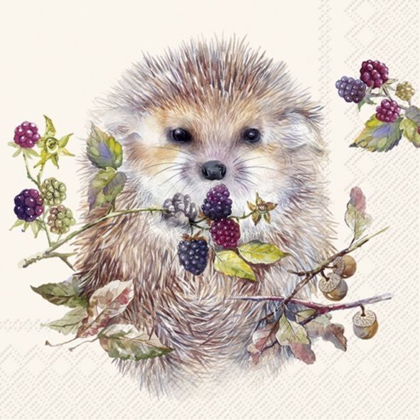 Lunch Napkins/Forest Hedgehog - RUTHERFORD & Co