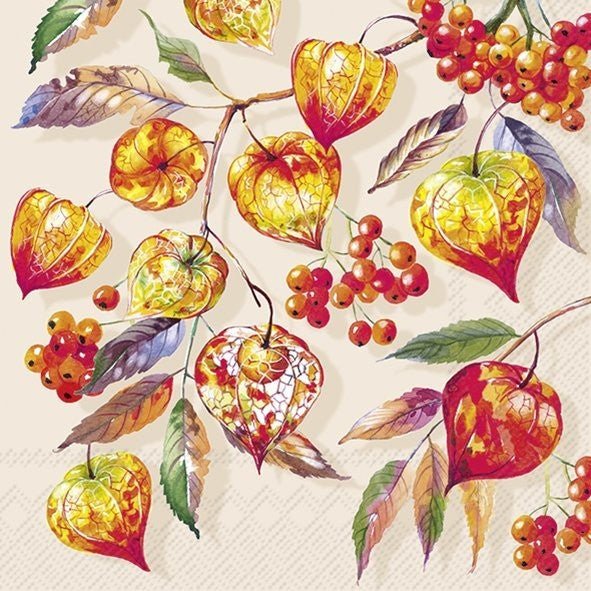 Lunch Napkins/Lampiona - RUTHERFORD & Co