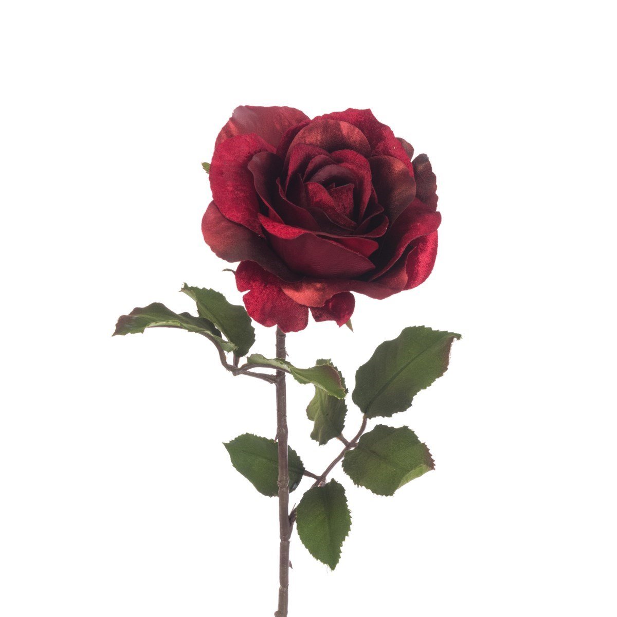 Luxe Rose Stem 60cm - RUTHERFORD & Co
