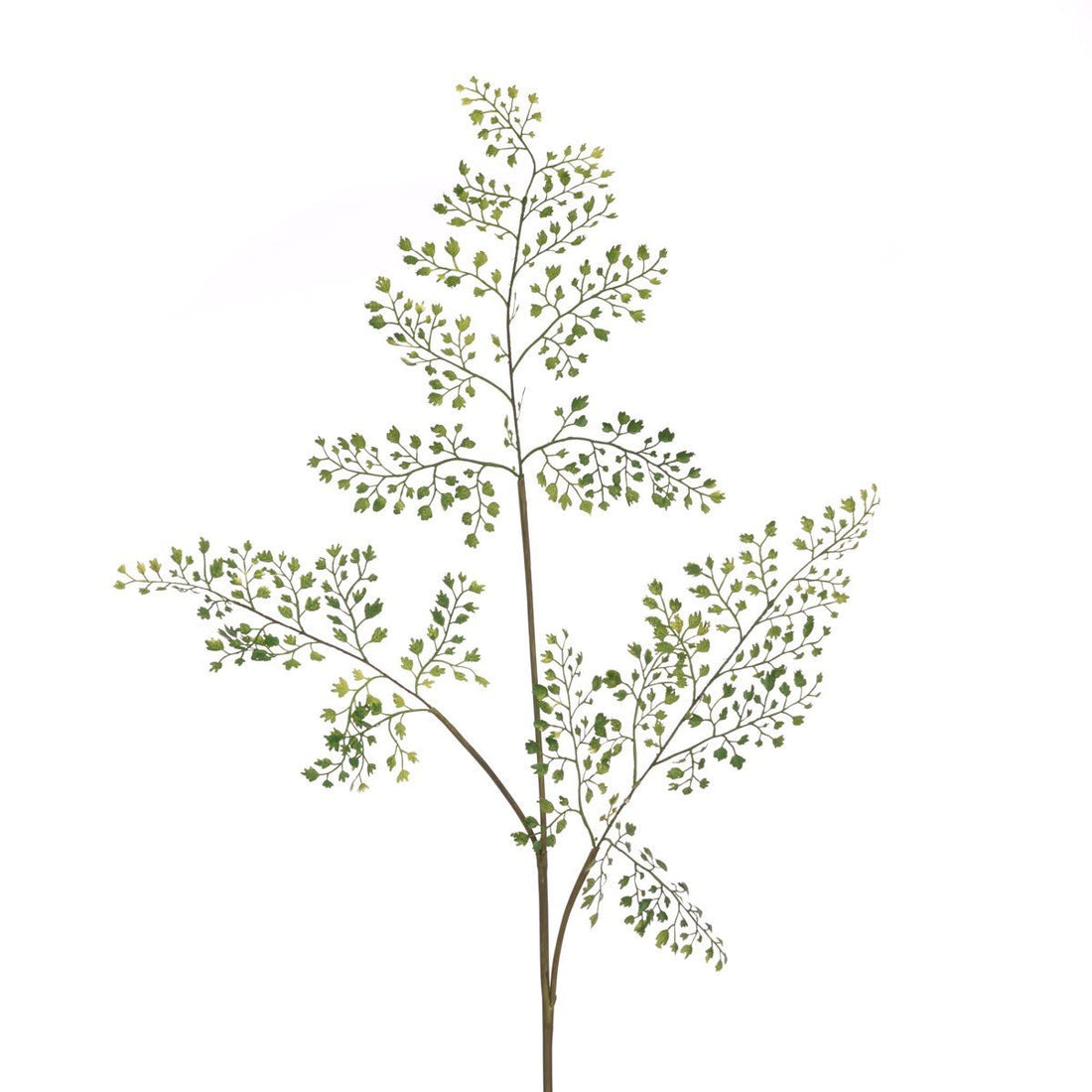 Maidenhair Fern Spray 86cm/Grey - RUTHERFORD & Co