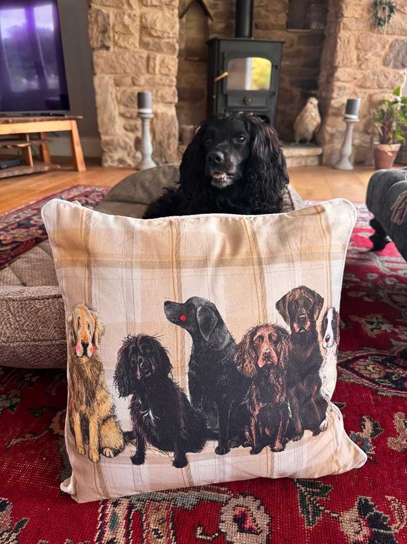 Man's Best Friend Cushion - RUTHERFORD & Co