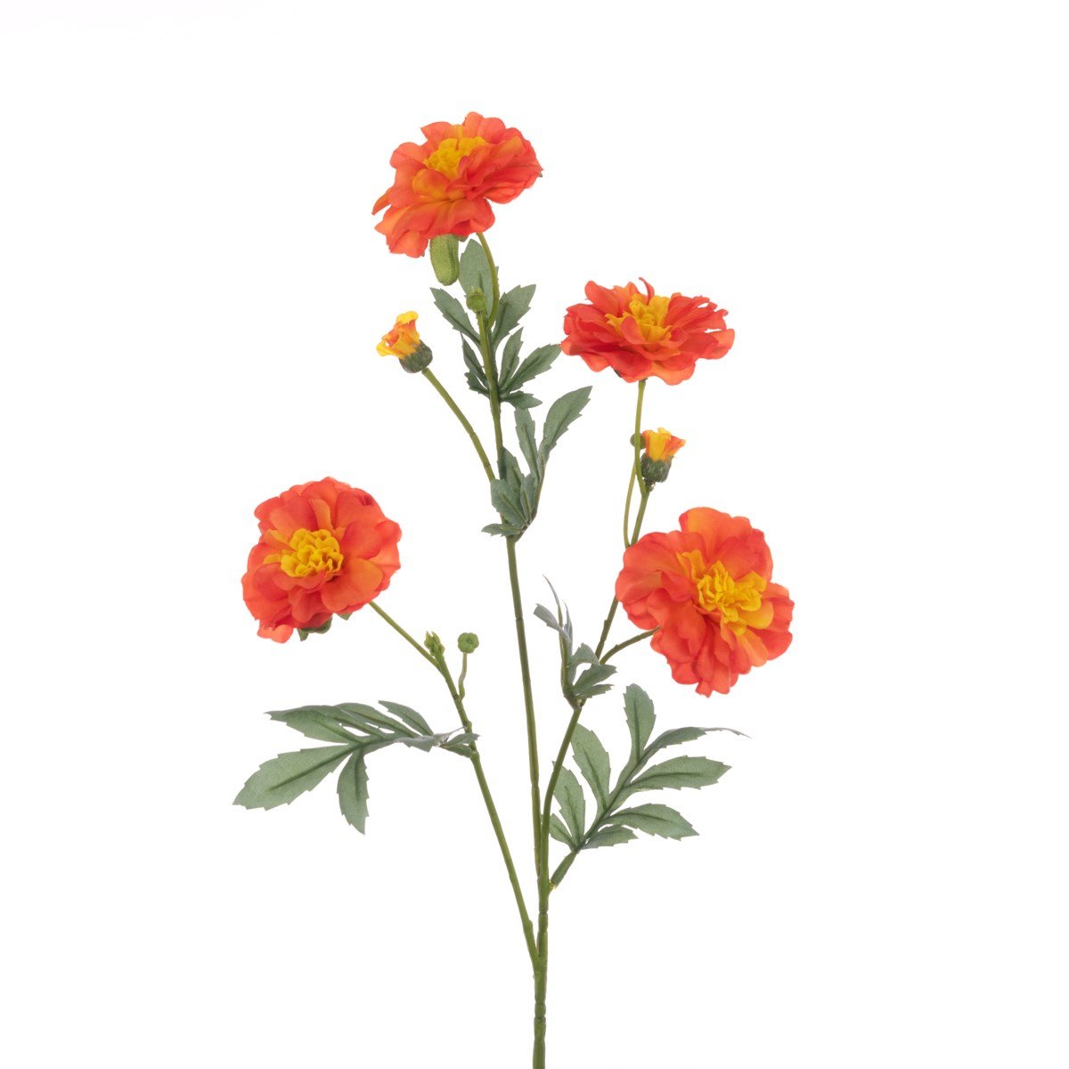 Marigold Spray 61cm/Orange - RUTHERFORD & Co