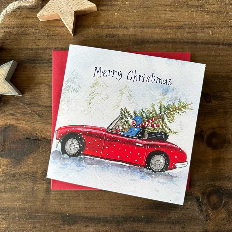 Merry Christmas Red Car Boxed Cards - RUTHERFORD & Co