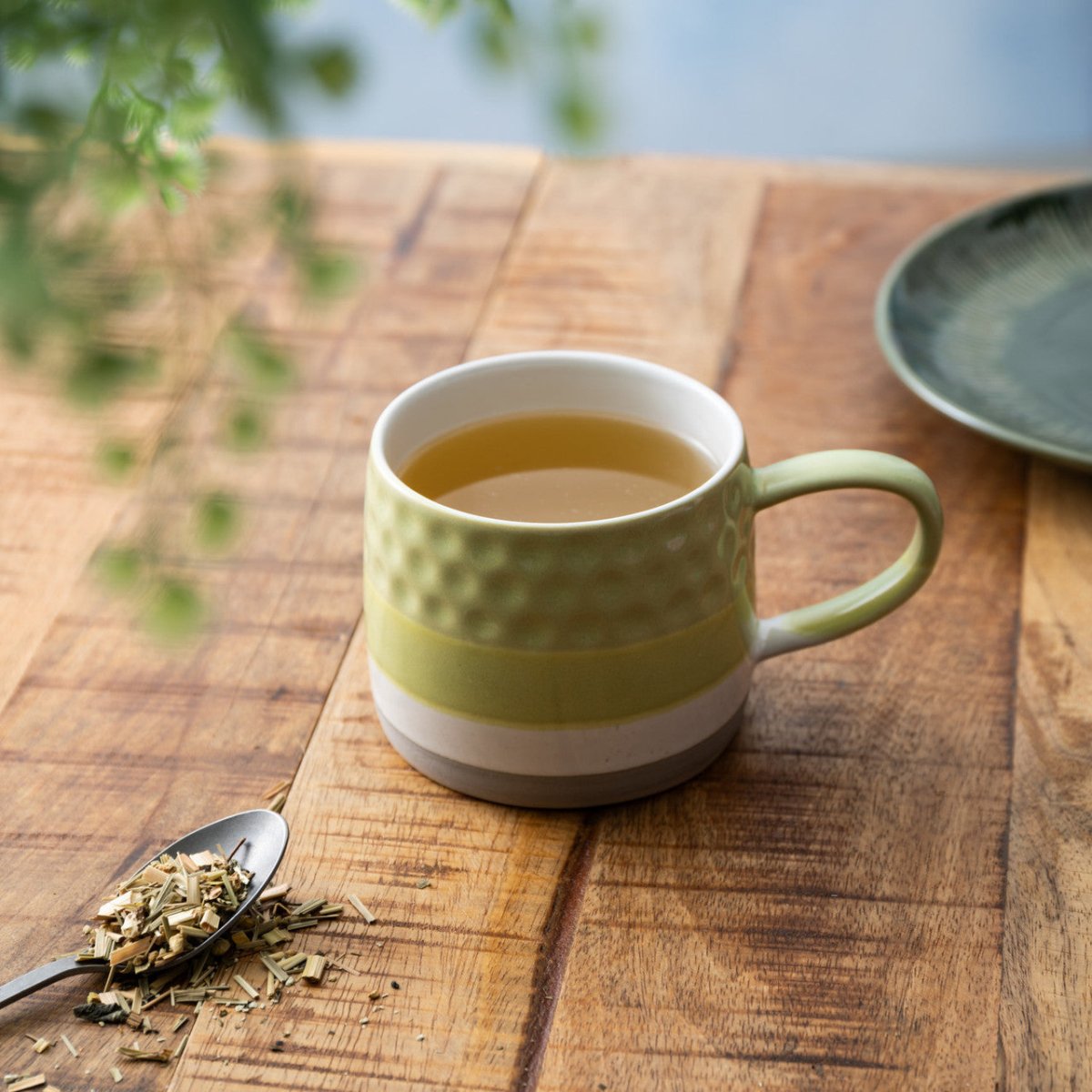 Mikasa Ombre Textured Mug Green - RUTHERFORD & Co