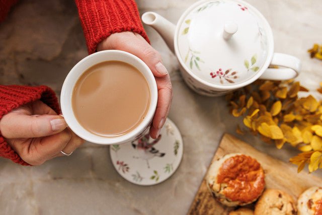 Mikasa TipperleyHill Robin Fine China Mug and Coaster Set, 380ml - RUTHERFORD & Co